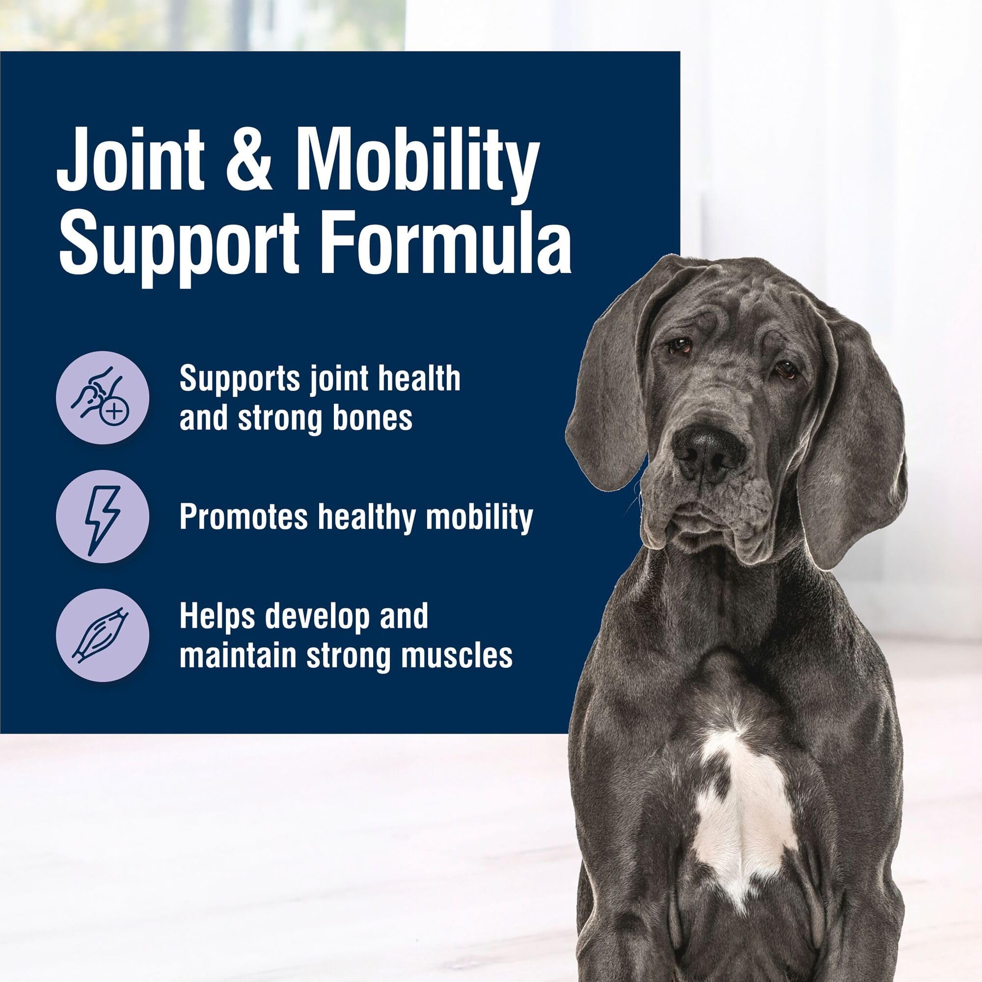 Blue Buffalo True Solutions Mobility Care contiene EPA y Omega-3 para movilidad diaria.