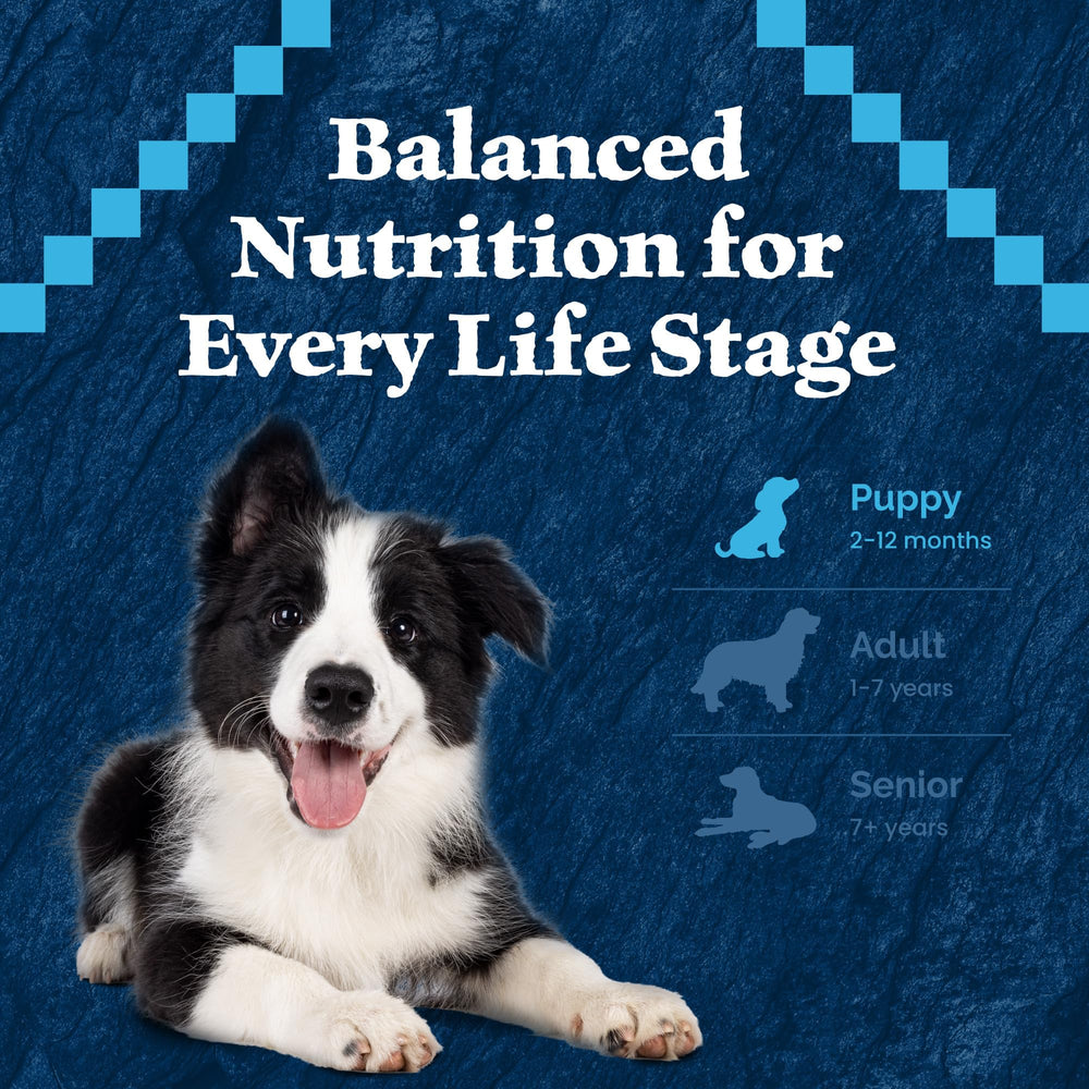 Blue Buffalo Wilderness: crecimiento saludable con proteína alta
