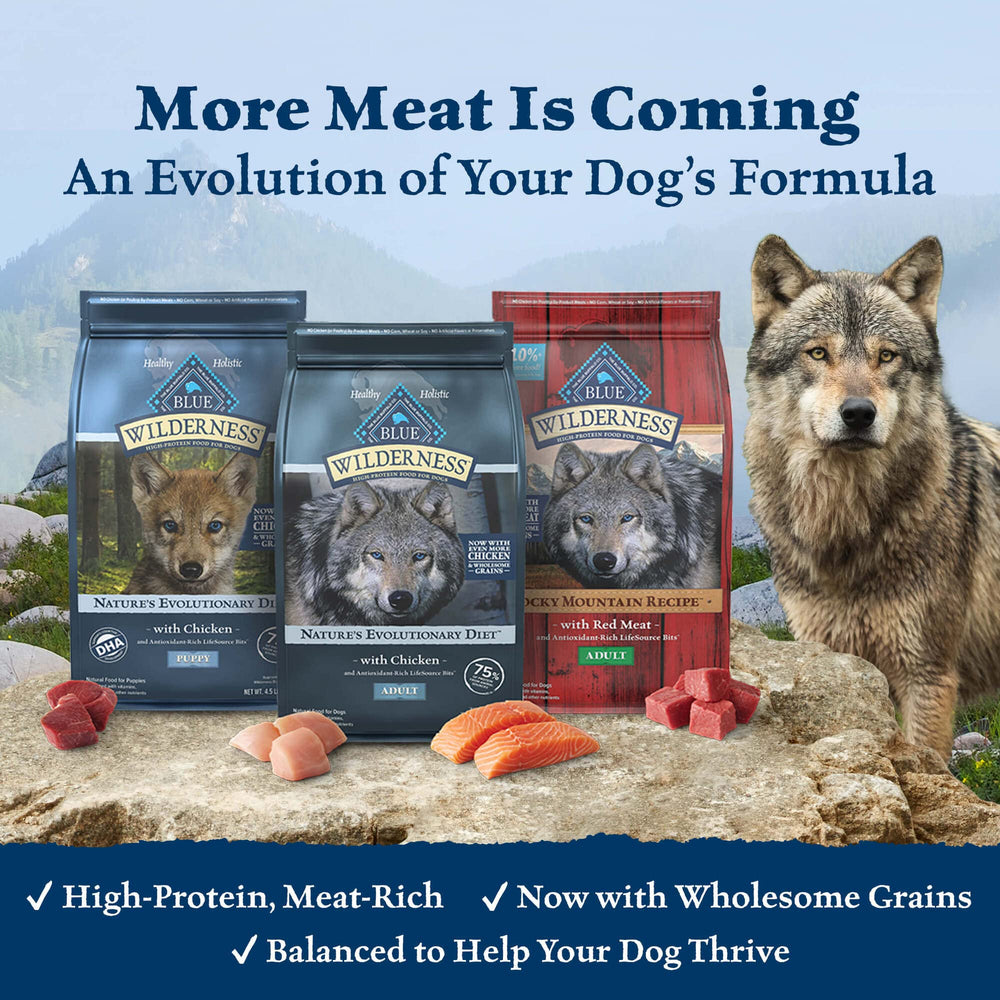 Blue Buffalo Wilderness croquetas de salmón en tazón, ideal para perros activos