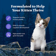 Blue Buffalo Wilderness DHA para desarrollo cognitivo de gatitos