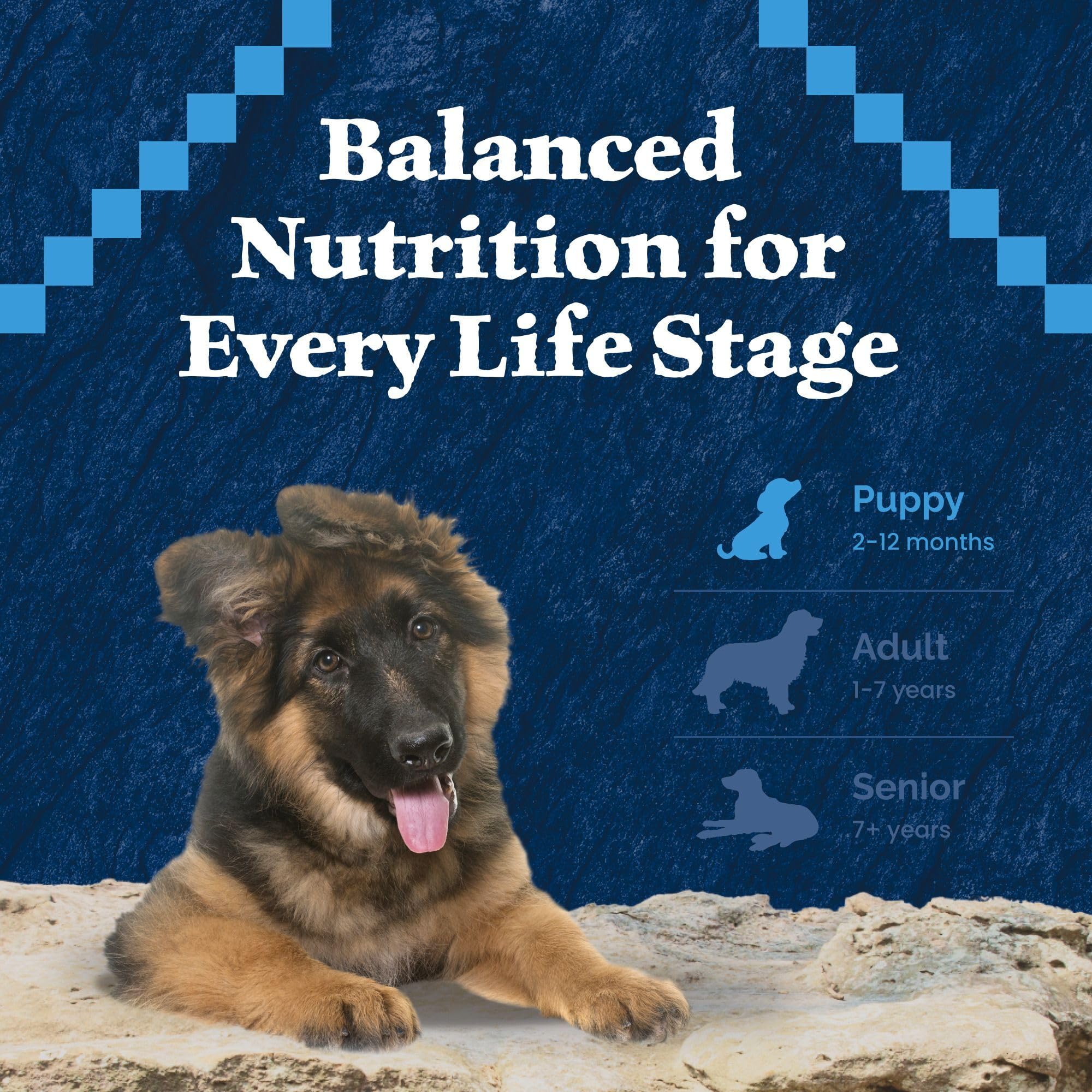 Blue Buffalo Wilderness nutrición equilibrada para cachorros activos y curiosos