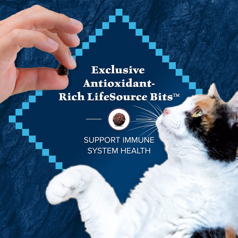 Blue Buffalo Wilderness alimento para gatos maduros de calidad natural