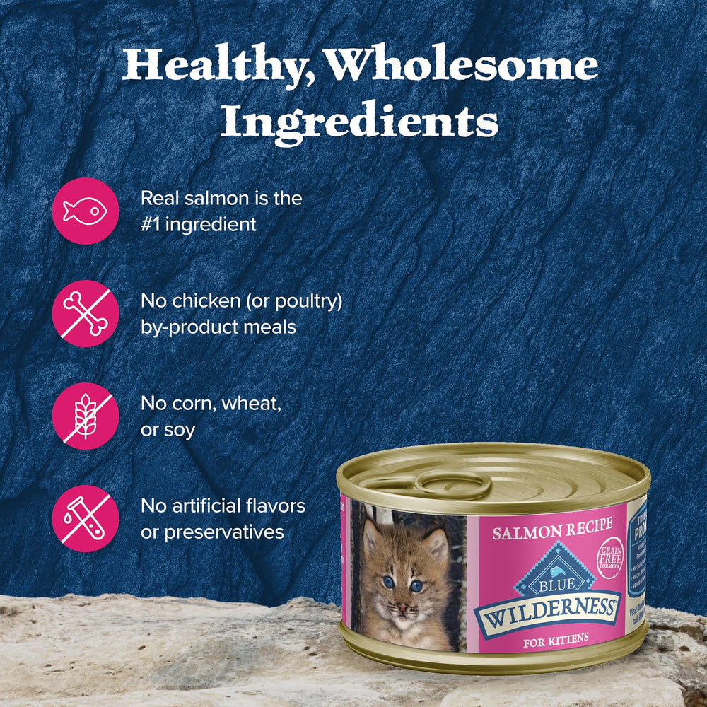 Blue Buffalo Wilderness pate-salmon-para-gatitos: textura suave para comer.