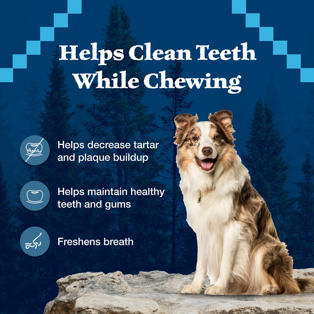 Blue Buffalo Wilderness perro disfrutando el hueso dental