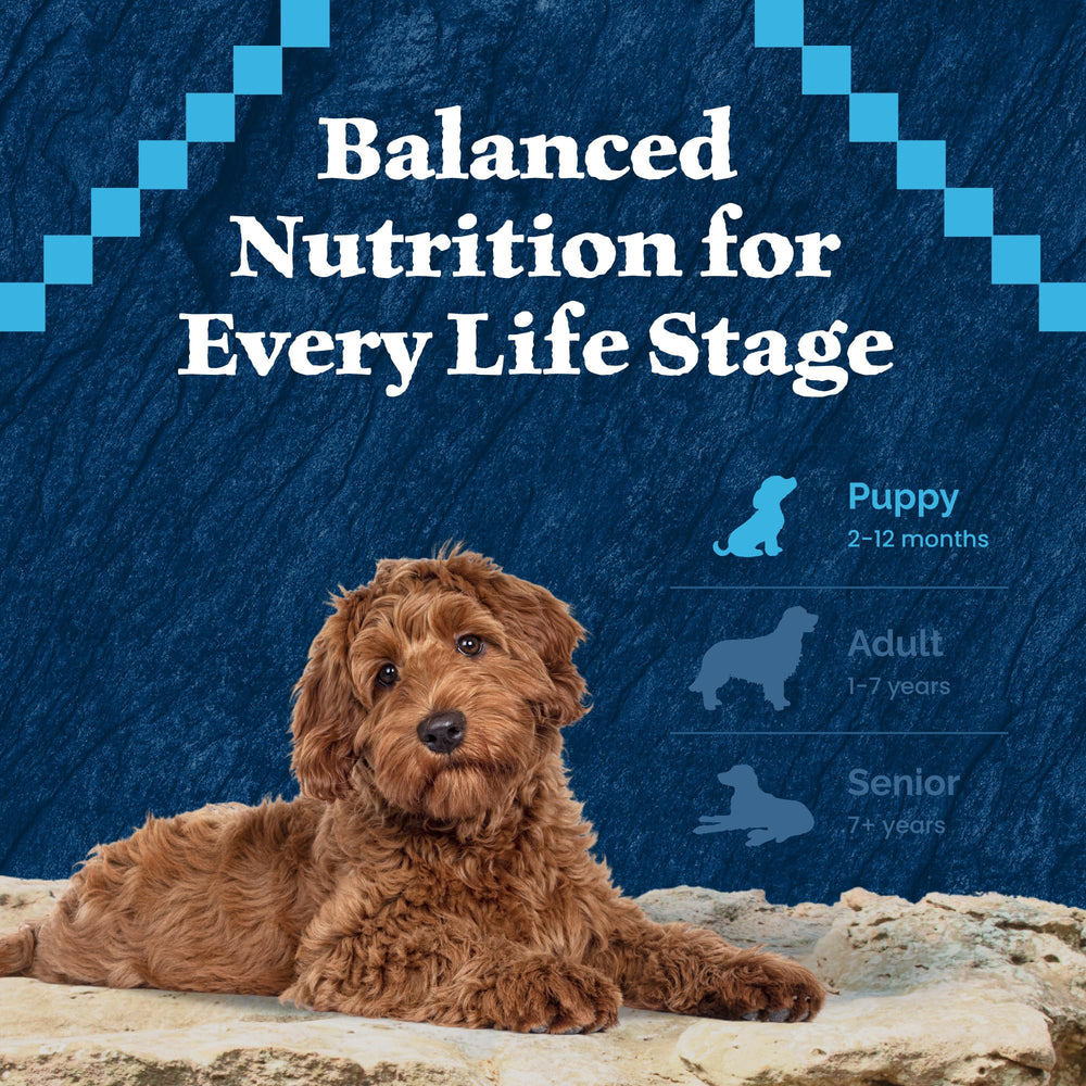 Blue Buffalo Wilderness Puppy dieta equilibrada para cachorros en crecimiento.