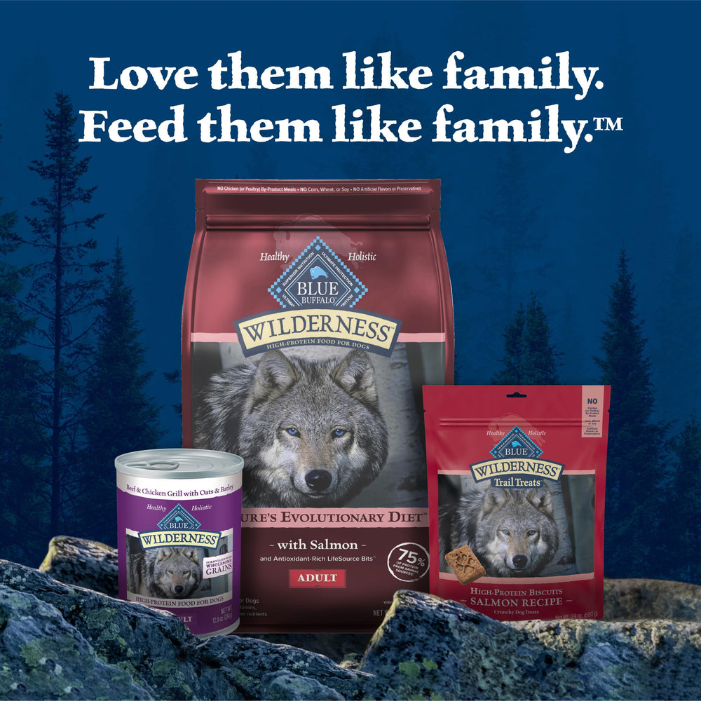 Blue Buffalo Wilderness salmón en receta para perros adultos activos
