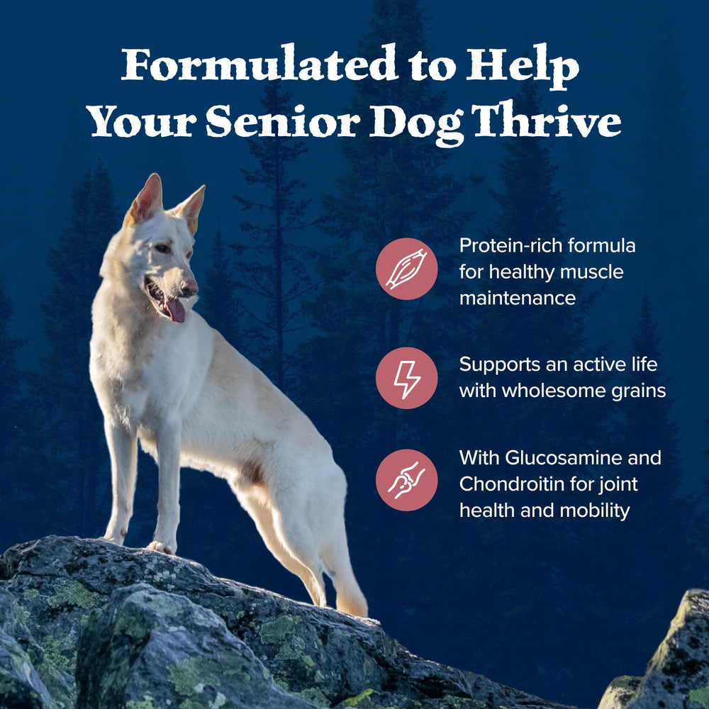 Blue Buffalo Wilderness Senior sin maíz, trigo ni soja, opción natural para seniors