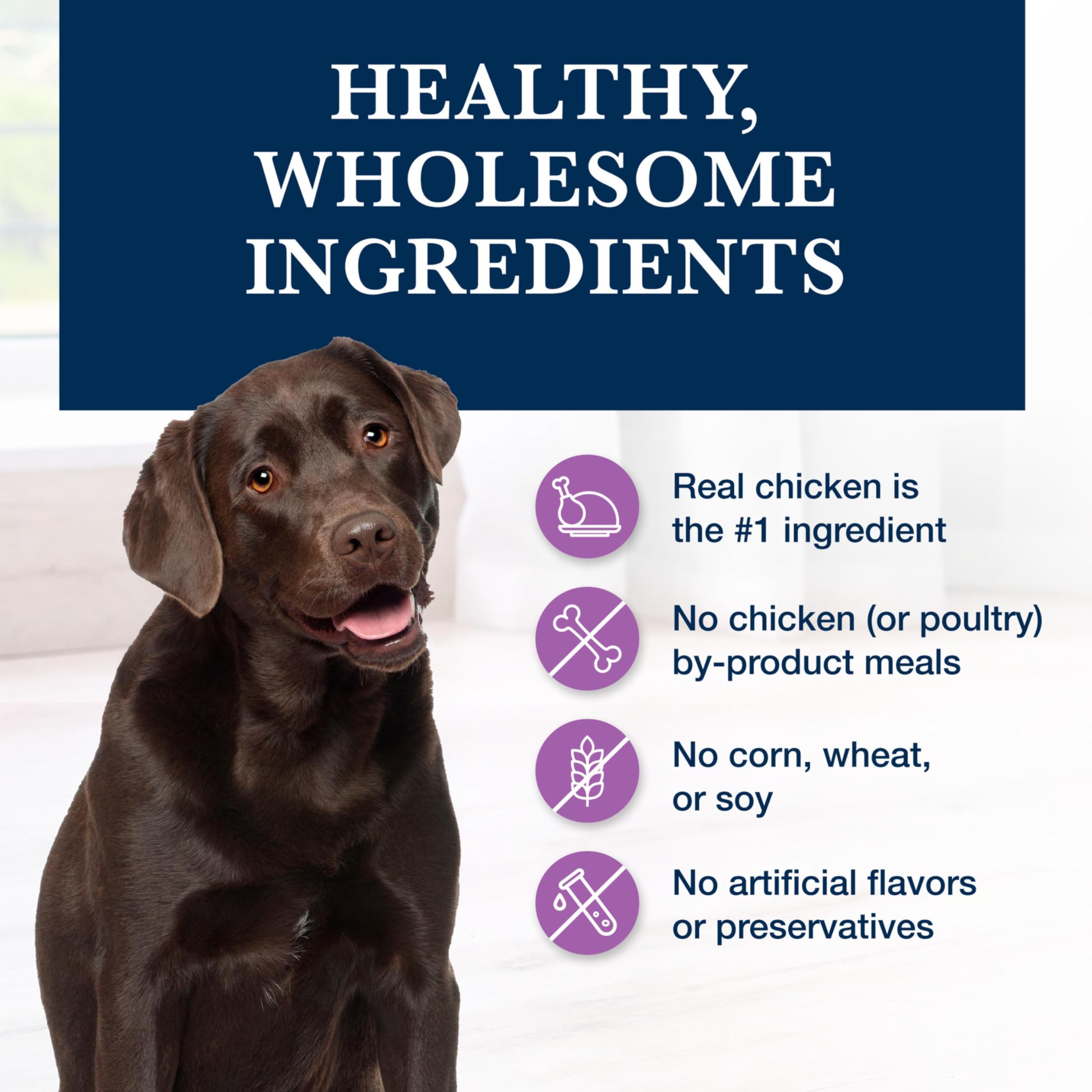 Blue Buffalo W+U alimento seco para perros con sabor a pollo