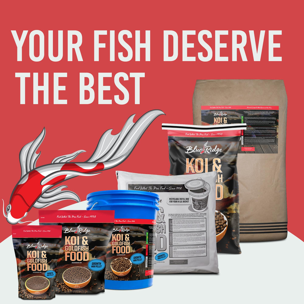 Blue Ridge estanques kois pellet flotante: alimento para kois y peces dorados.