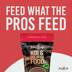 Blue Ridge Goldfish: alimento flotante 2lb para goldfish sanos y activos
