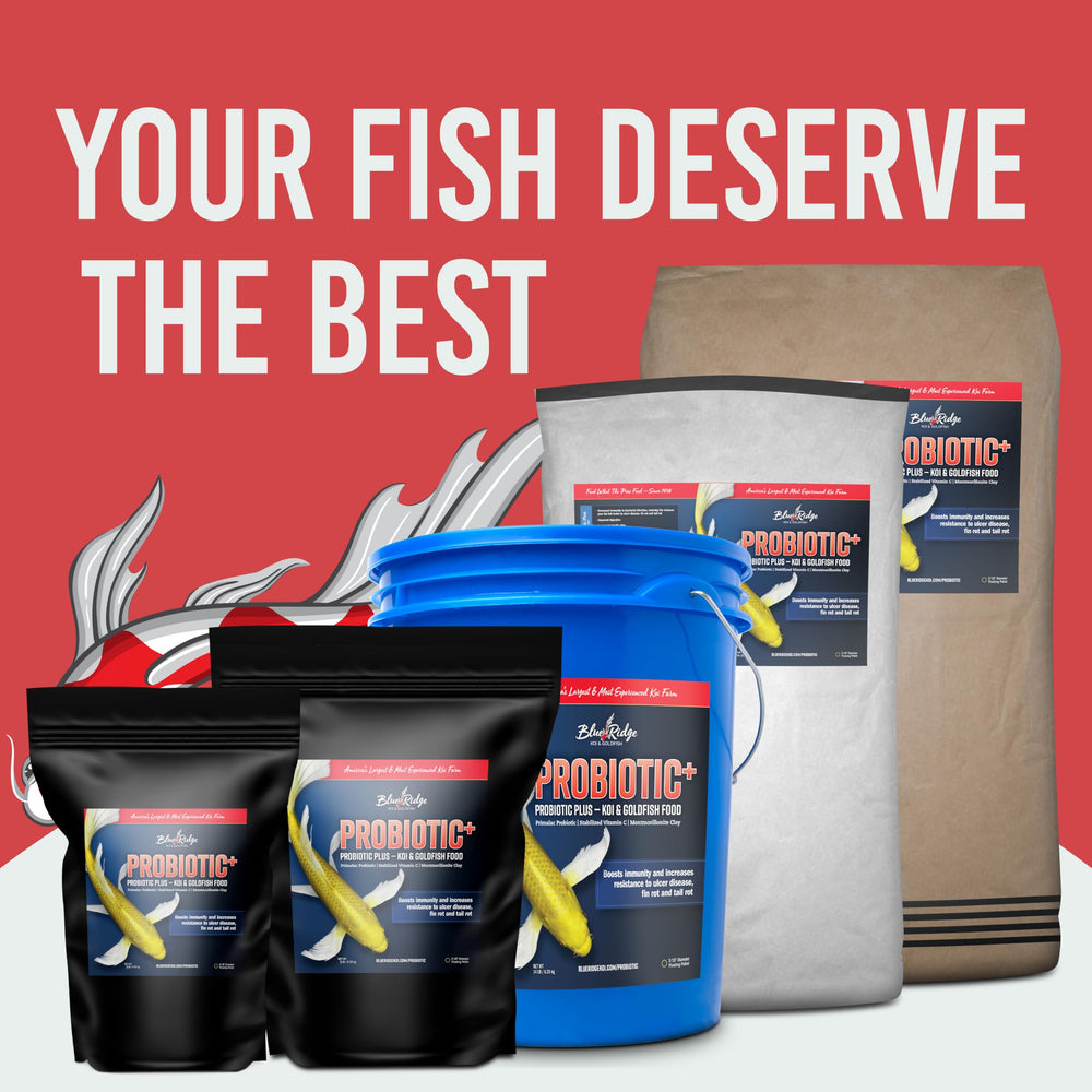 Garantía de satisfacción de Blue Ridge para peces koi y goldfish