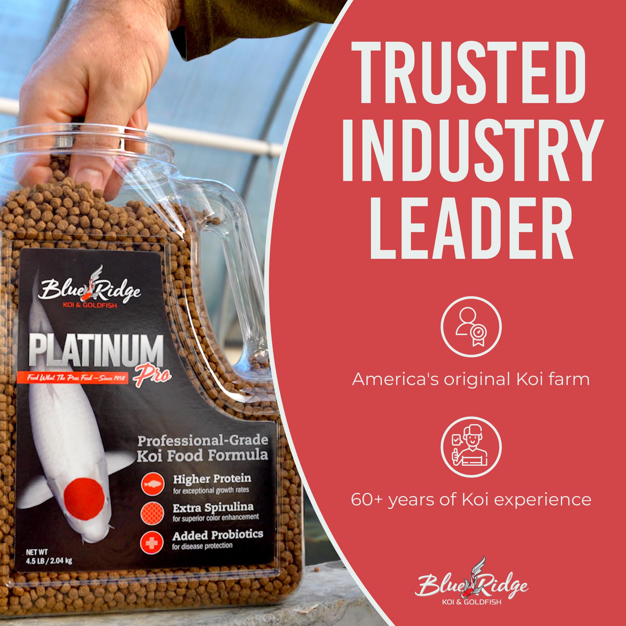 Blue Ridge Koi Alimento: envase compacto para almacenamiento