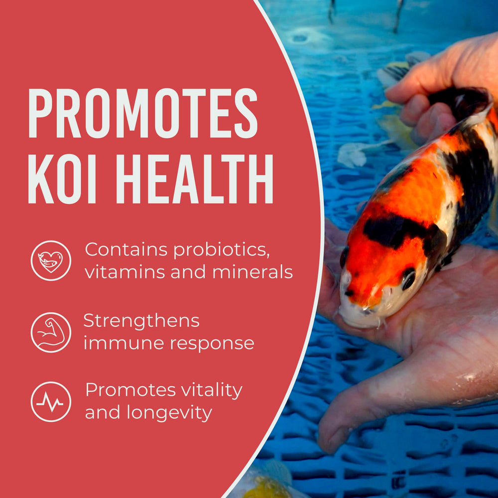 Blue Ridge Koi Alimento: uso en frío para estanques estables
