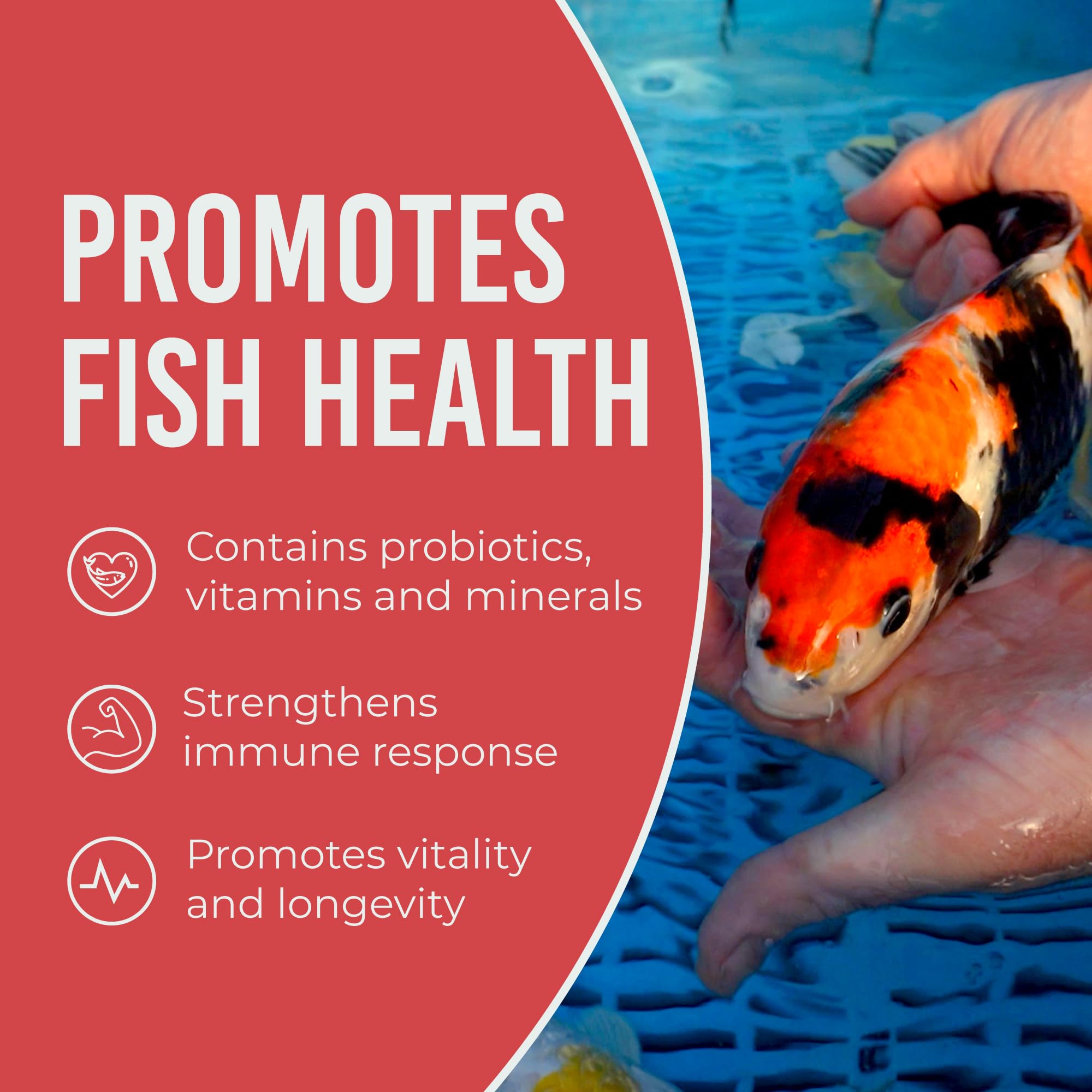 Blue Ridge Koi pellets flotantes ofrecen vitaminas y minerales para la dieta del estanque.