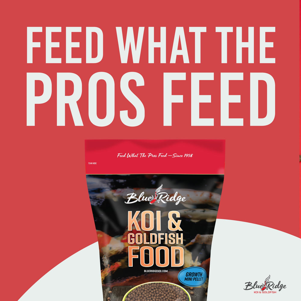 Blue Ridge Koi Alimento: vitaminas y minerales para resistencia al estrés