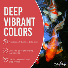 Blue Ridge Koi probiótico Primilac para favorecer la salud intestinal.