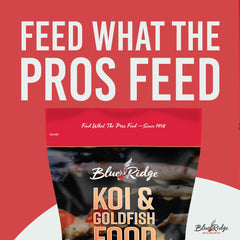 Blue Ridge Koi Food: mezcla para koi y goldfish de tamaños gran y mini.