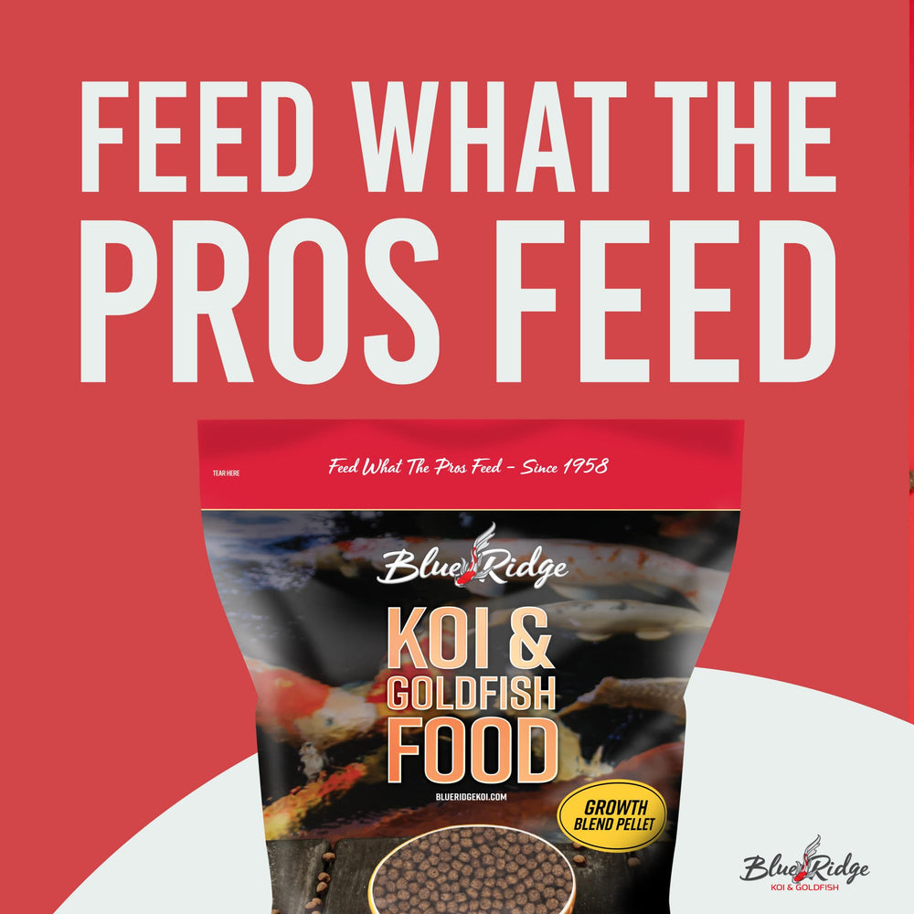 Blue Ridge Koi Food pellets de digestión fácil, ayudan a una alimentación suave