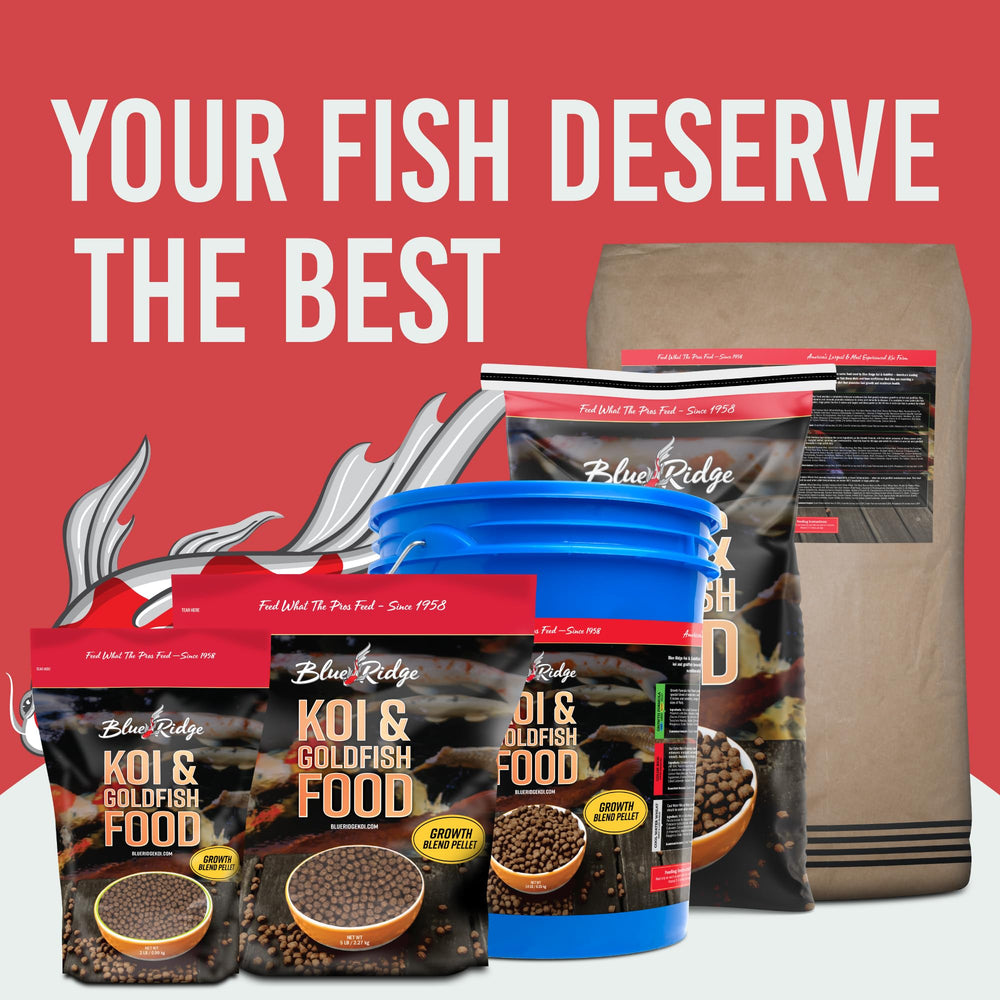 Blue Ridge Koi Food pellets flotantes que no contaminan el agua