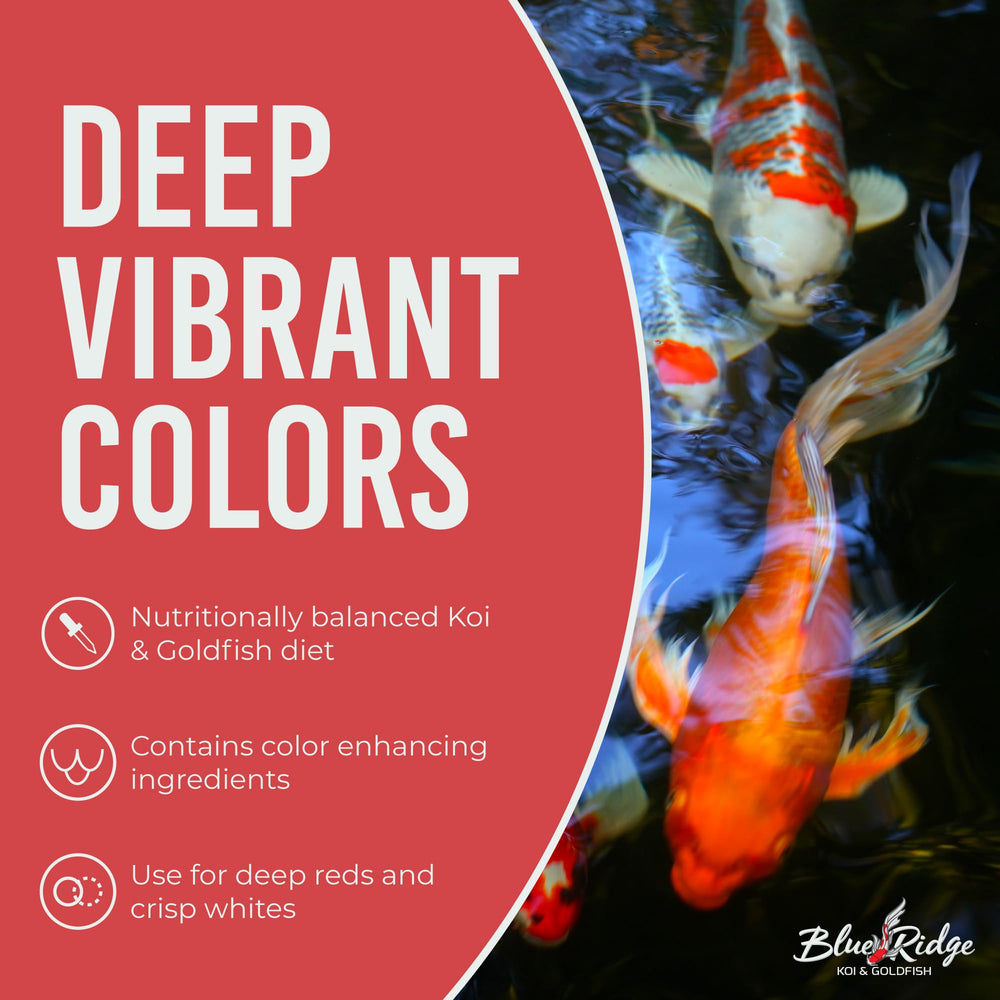 Blue Ridge Koi: fórmula crecimiento para koi grandes
