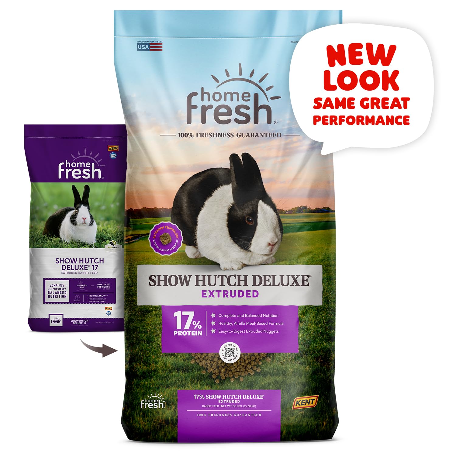Uso de Blue Seal Fresh Show Hutch Deluxe 17 en exhibiciones para conejos
