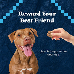Blue Buffalo galletas sin granos para perros activos.