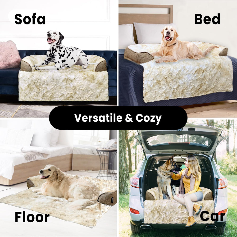 blunique cama para perros con asa portátil facilita transporte