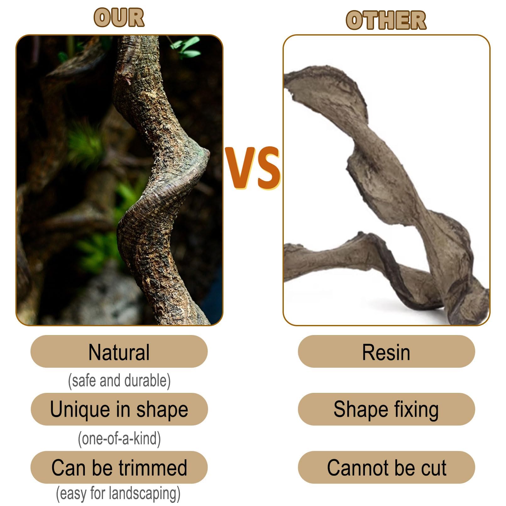 Branche bois naturelle BNOSDM, robuste et sans danger pour les reptiles.