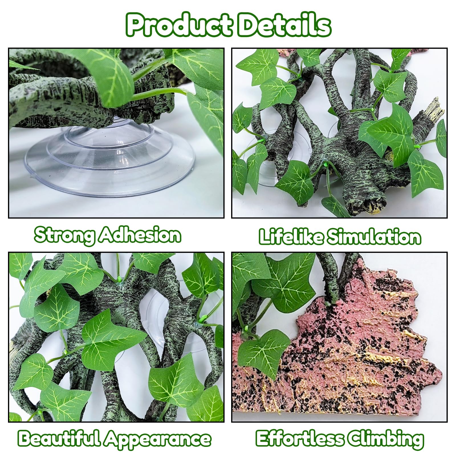 BNOSDM dragon barbudo subiendo la rama, estimula exploración y movimiento