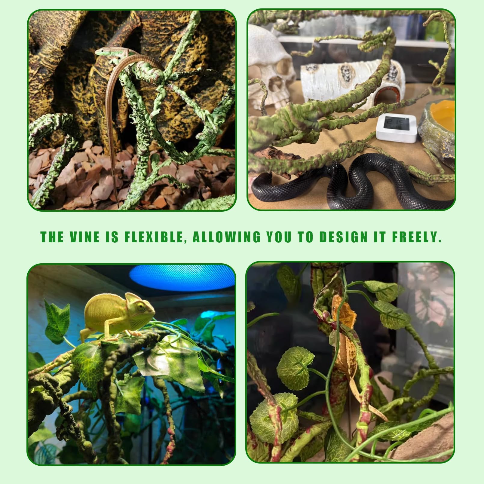 BNOSDM lianas terrario para geckos y dragones barbudos.