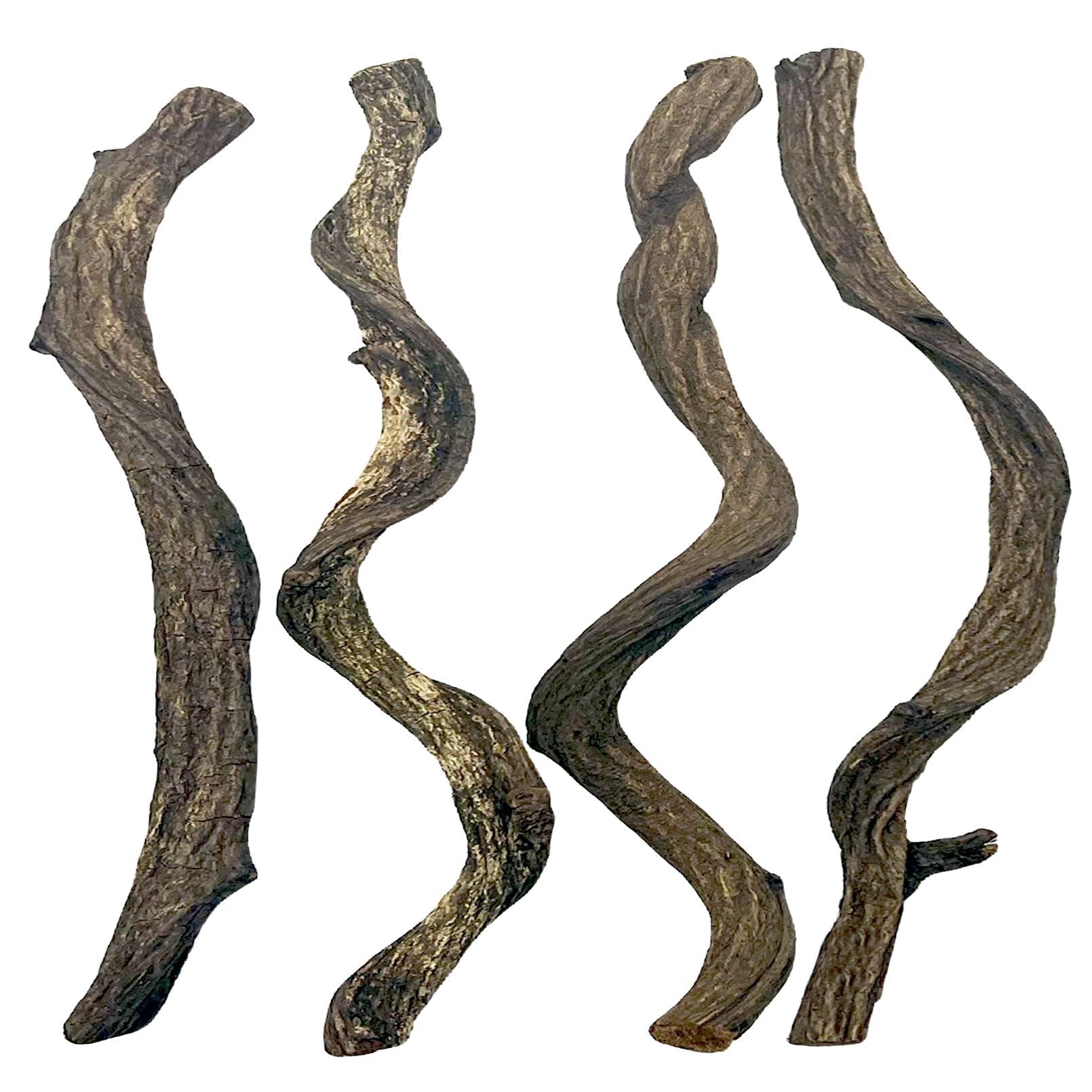 BNOSDM Ramas naturales para terrario, enfoque en textura rugosa para trepar y ejercitar a tu reptil.