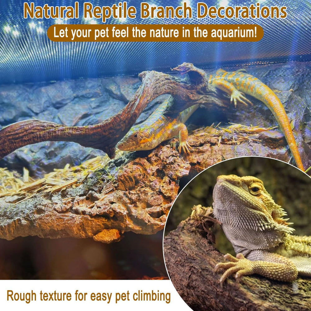 BNOSDM Ramas naturales para terrario, primer plano muestra textura para trepar y contemplar.