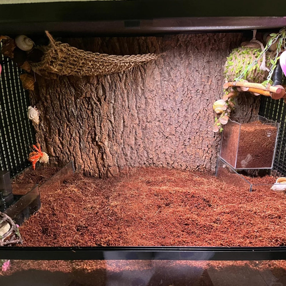 BNOSDM sustrato para geckos, tarántulas y lagartos, ambiente cómodo y natural.