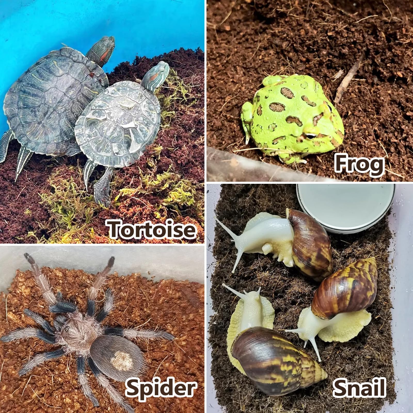 BNOSDM sustrato para reptiles, reutilizable como abono en jardín.
