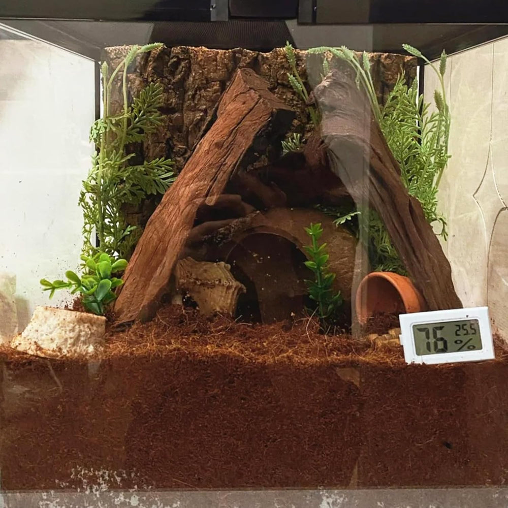BNOSDM sustrato reptil reutilizable como abono para plantas