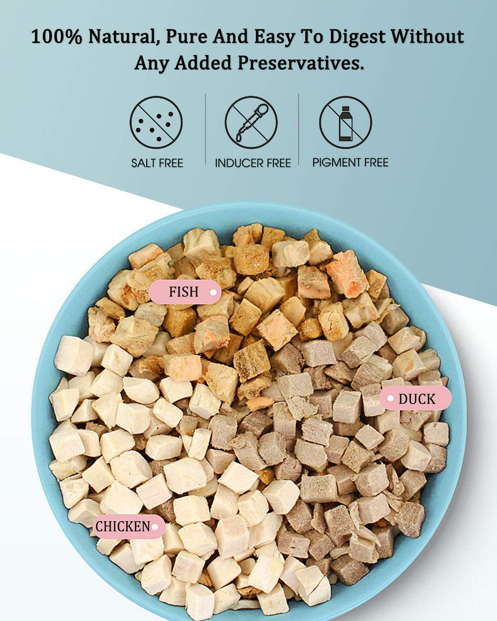 BNYEE 3-in-1 Turtle Food in bowl demonstrates serving ready to soften in water for easy feeding.