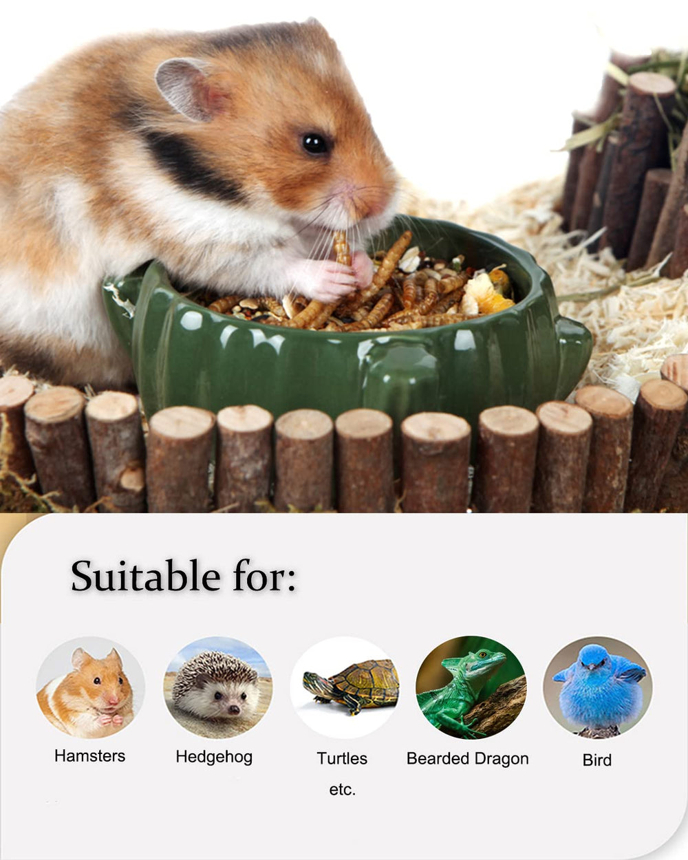 BNYEE alimento seco compatible con múltiples mascotas, desde reptiles hasta aves.