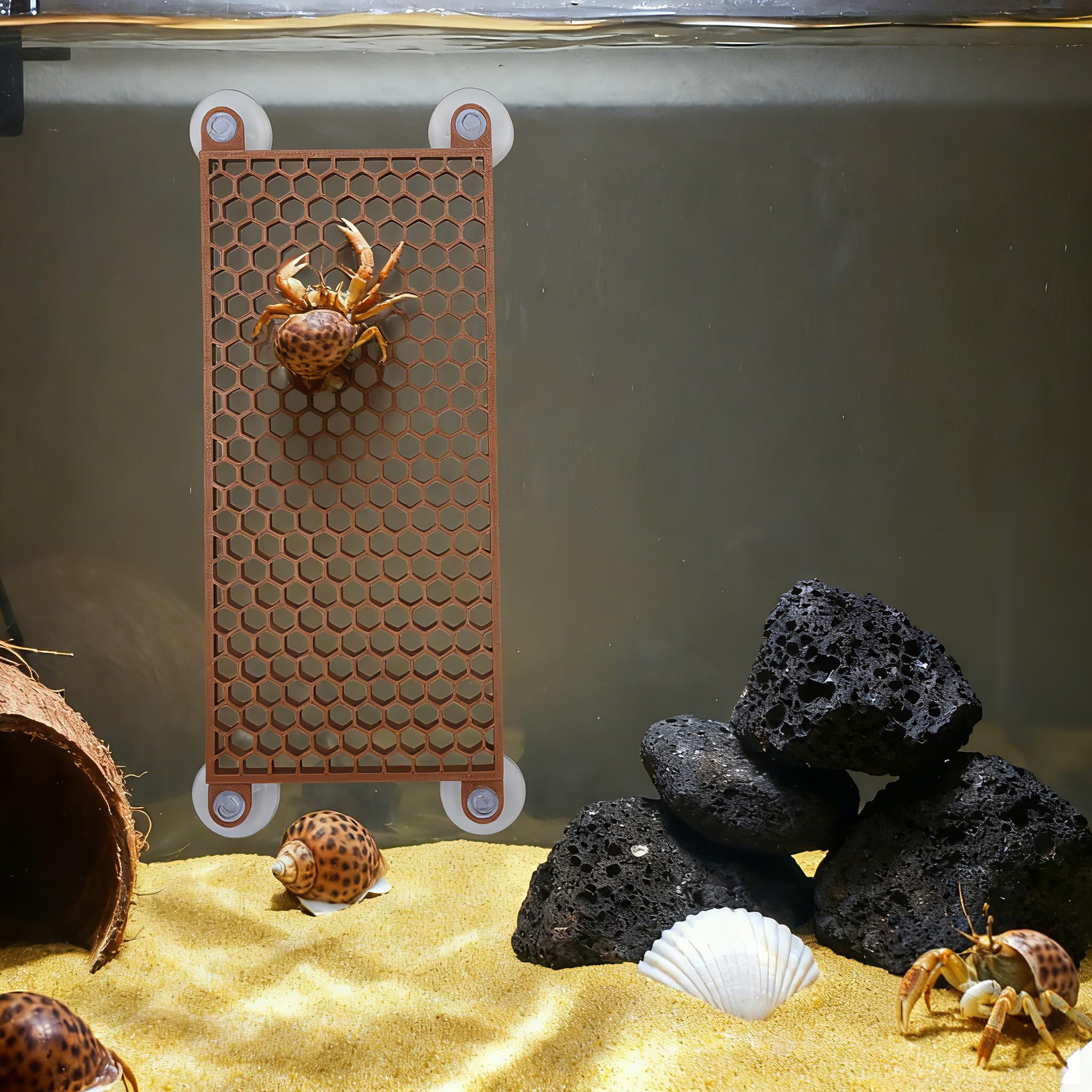 Bolagar diseño hexagonal facilita rutas seguras para trepar