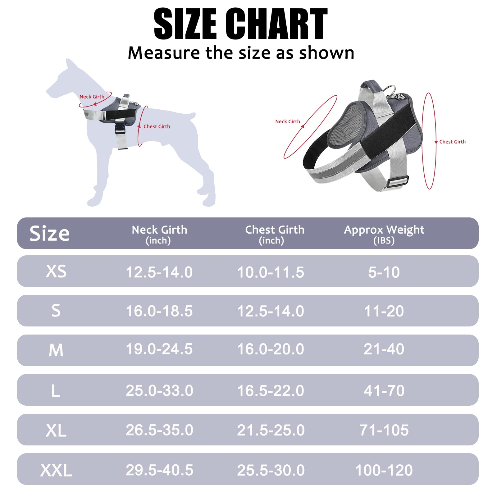 Bolux arnés con anilla en D para conectar la correa con facilidad