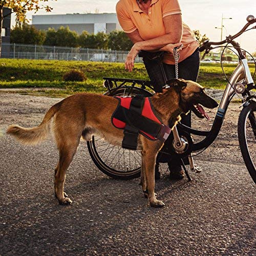 Bolux arnés perro con anillo en D para la correa
