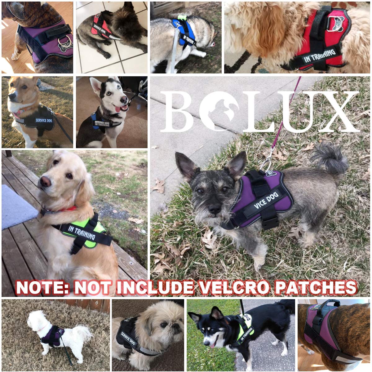 Bolux arnés perro nylon resistente para paseos diarios al aire libre