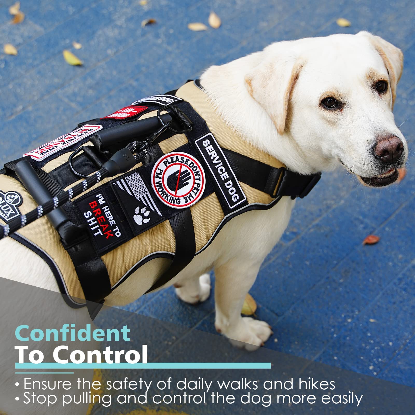 Arnés Bolux para perro con malla de aire para mayor comodidad en exteriores