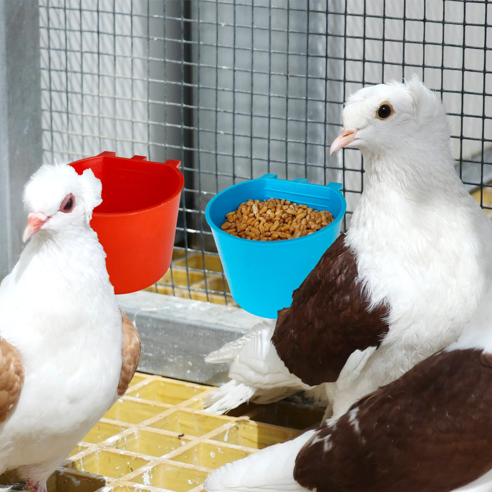 Bonchoice tazas versátiles para aves pequeñas y menores roedores