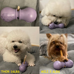 BoniVet diseño duradero para uso diario en perros pequeños y medianos.