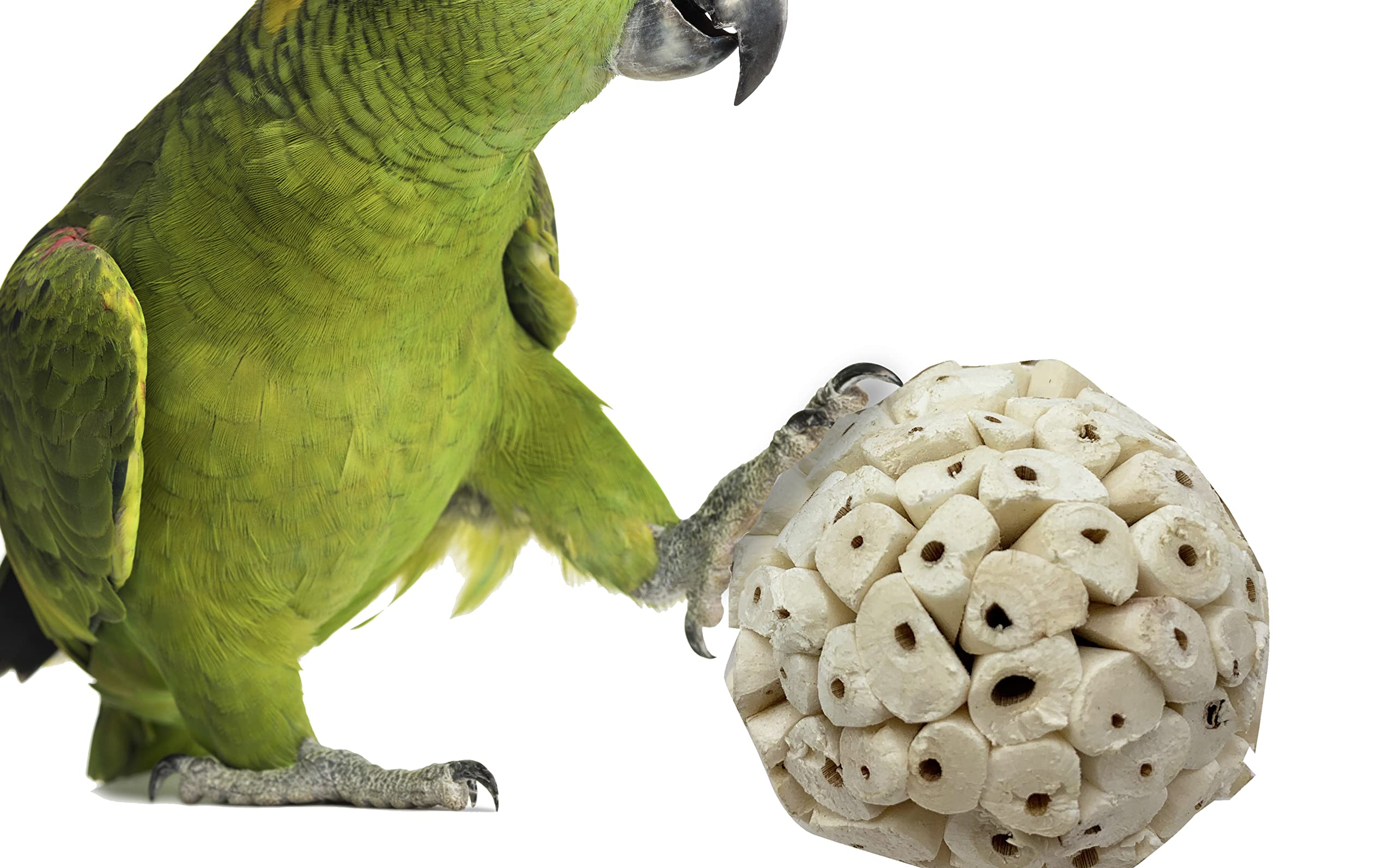 Bolas Bonka Sola Atta para aves, ideales para juego y agarre con pico.