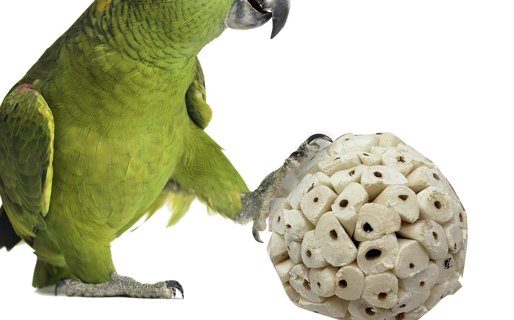 Bolas Bonka Sola Atta para aves, ideales para juego y agarre con pico.