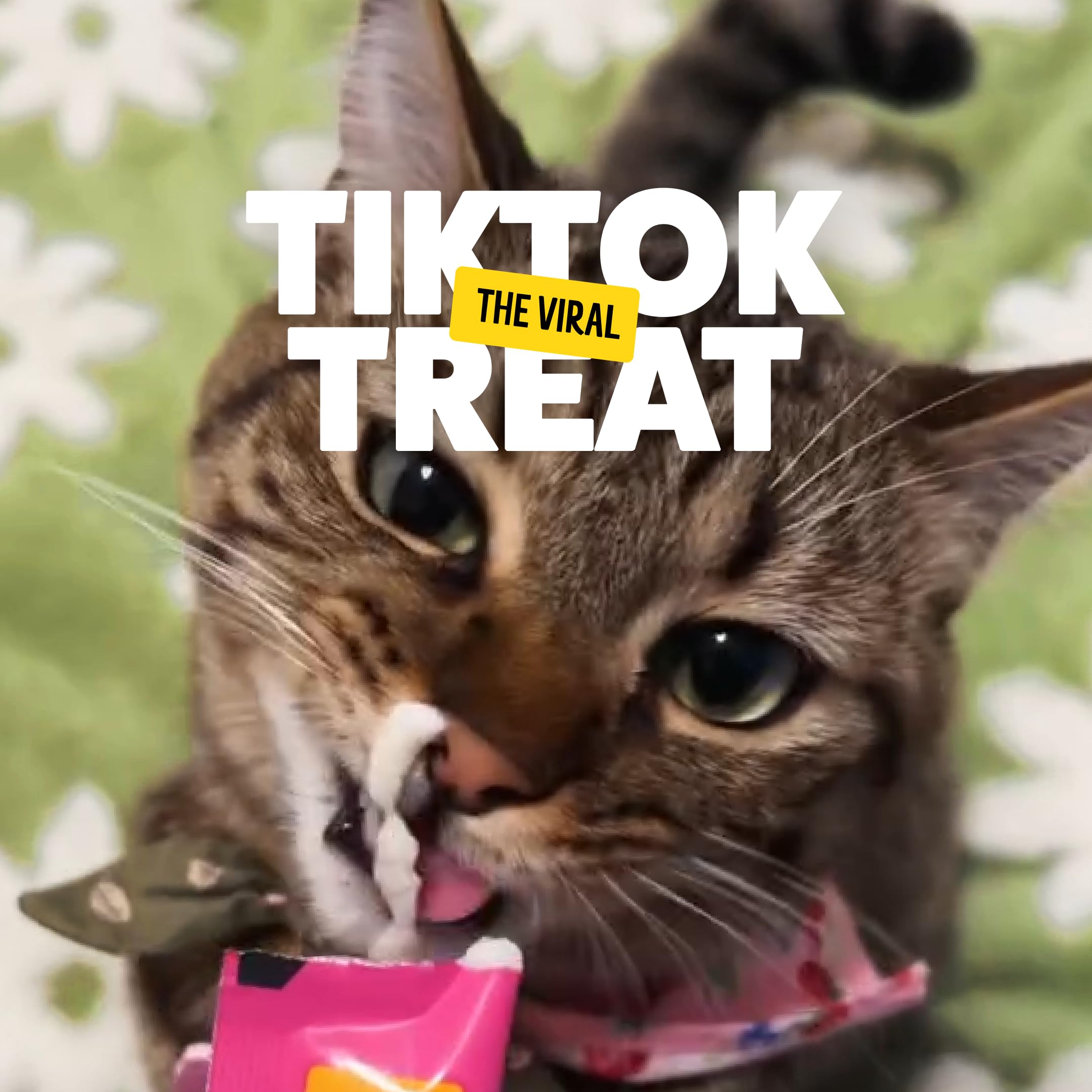 Paquete valor Bonkers Licky Tubes con 60 tubos, ideal para sesiones.