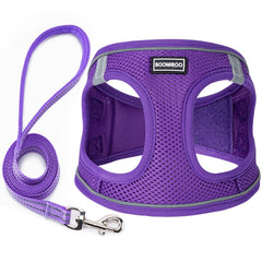 BOOMIBOO arnés para perro morado, vista frontal, mayor control en paseos.