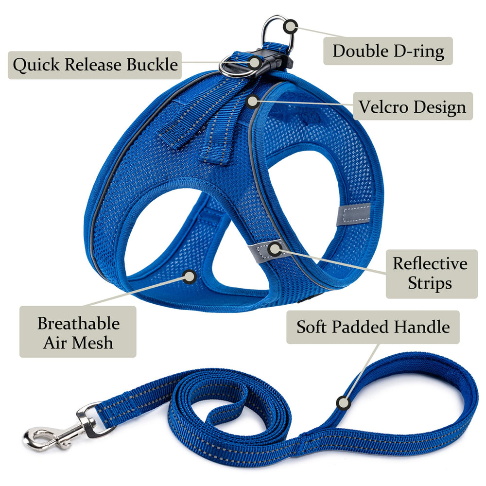 BOOMIBOO arnés para perro con doble anillo para mayor seguridad en caminatas.