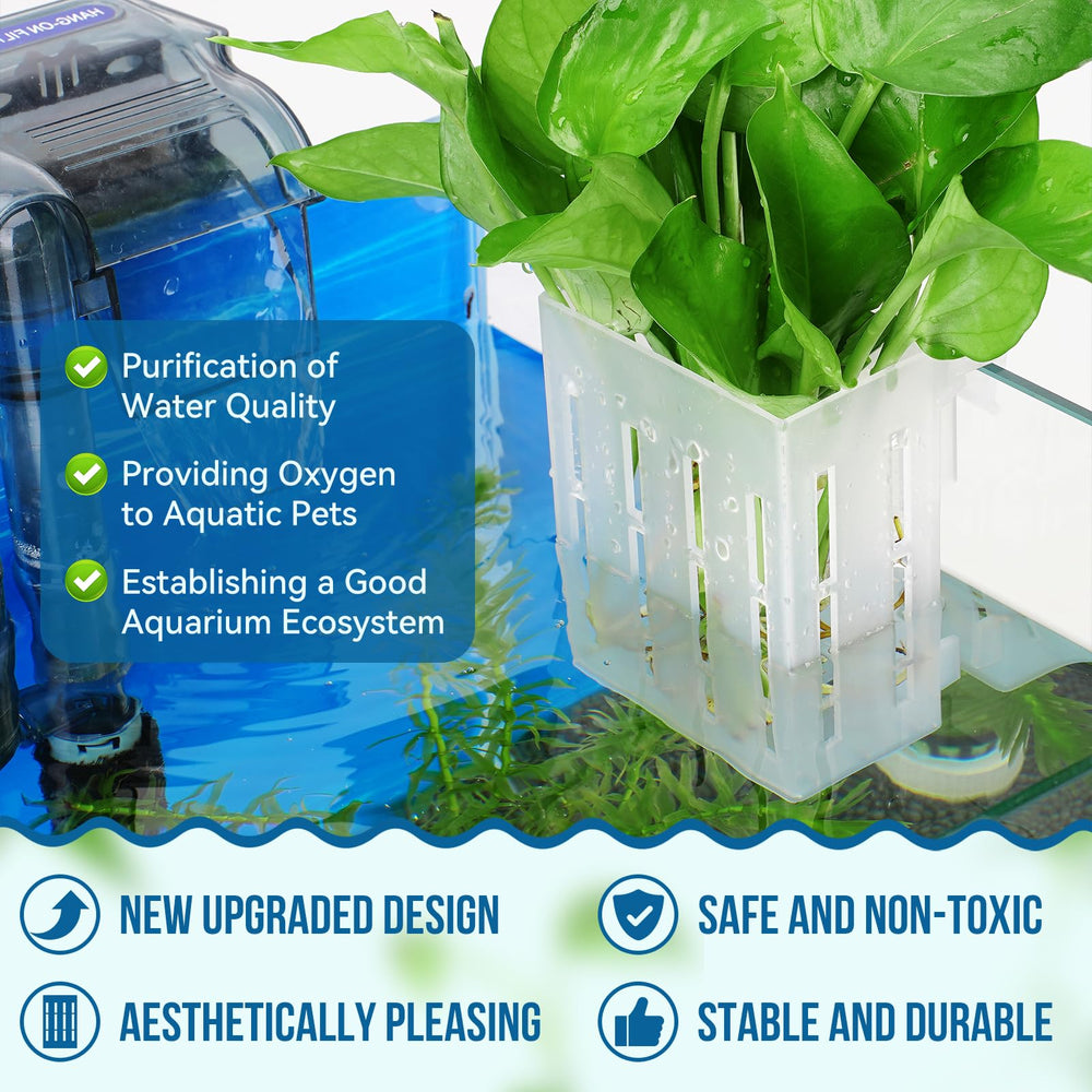 Borlech portaplanta con ventosas para acuario, sujeción segura.